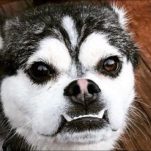 Meet your Posher, Ed